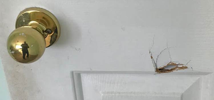 interior door hole repair Mendota