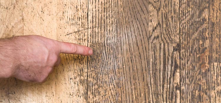 Wood Door Scratch Repair in Mendota